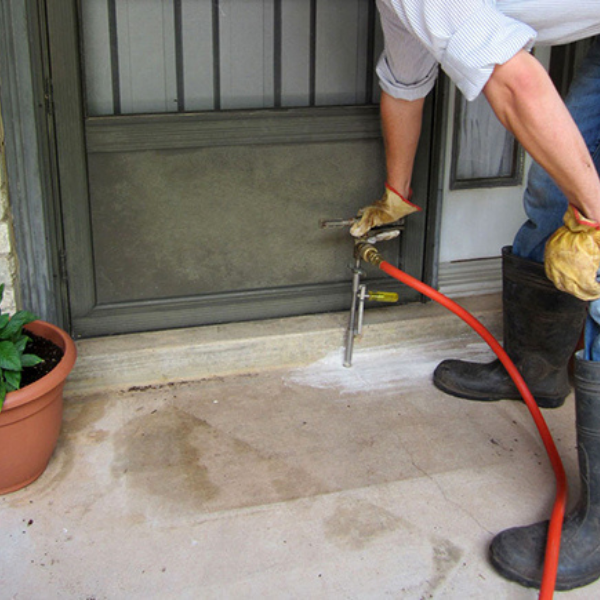 Termite Management Service (Post Construction)