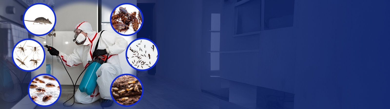 nilachakra website slider2 b